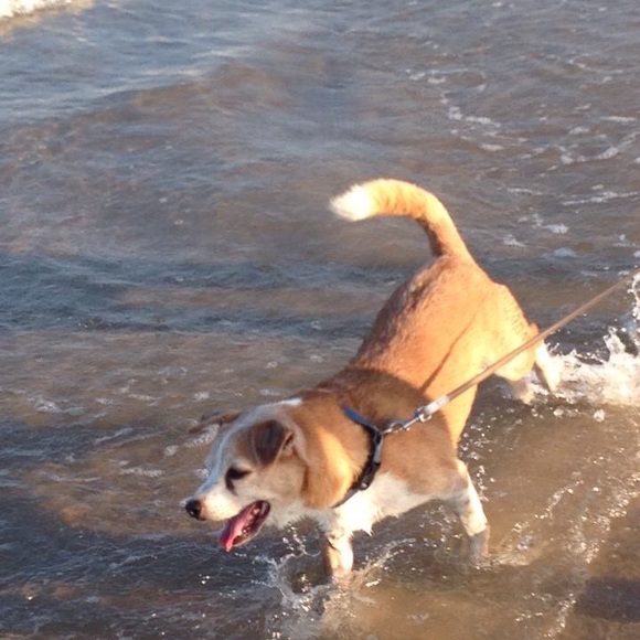 Had so much fun with this shop! - Picture 6 of 13